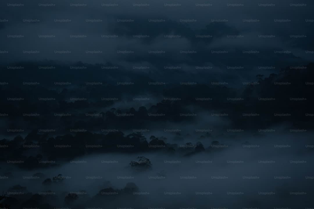 黄山的云海有哪些特点是什么